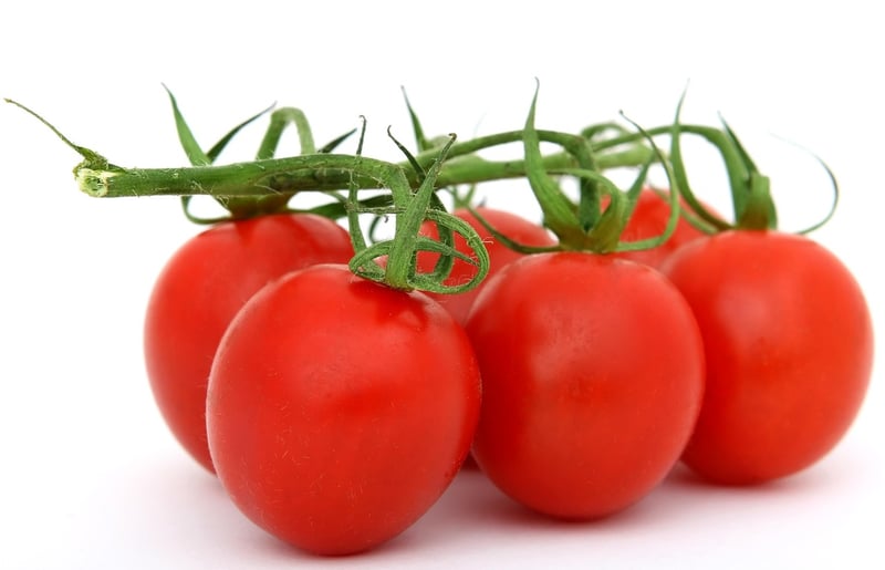 Plant-based meal